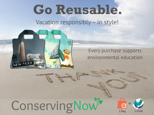ConservingNow Ad Campaign